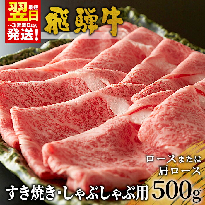 【ふるさと納税】 飛騨牛 ロースまたは肩ロース すき焼き・しゃぶしゃぶ用 500g ロース カタロース 肩ロース 牛肉 和牛 肉 すき焼き しゃぶしゃぶ 東白川村 岐阜 霜降り 鍋 養老ミート 楽天スーパーセール 【最速配送/発送時期が選べる】