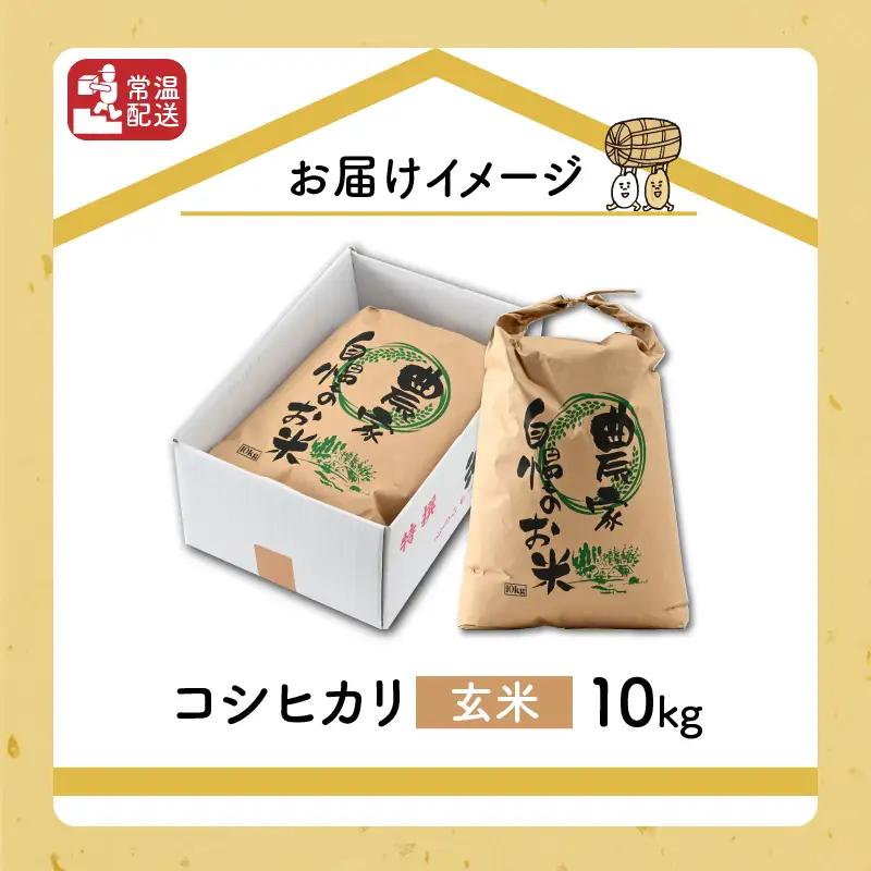 米 令和8年産 コシヒカリ玄米 10kg [A-040030]