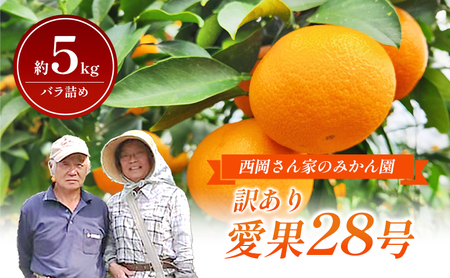 【数量限定】訳あり「愛果28号」約5kg バラ詰め 〈訳あり ワケあり ふぞろい 家庭用 愛果28号 みかん 柑橘 甘味 ゼリー 愛媛 砥部町〉