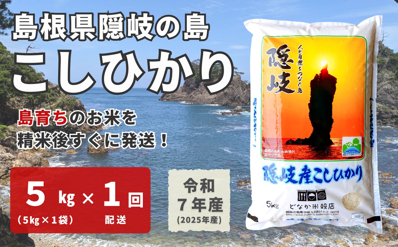 【ふるさと納税】【令和7年産】隠岐産こしひかり5Kg（5Kg×1袋）