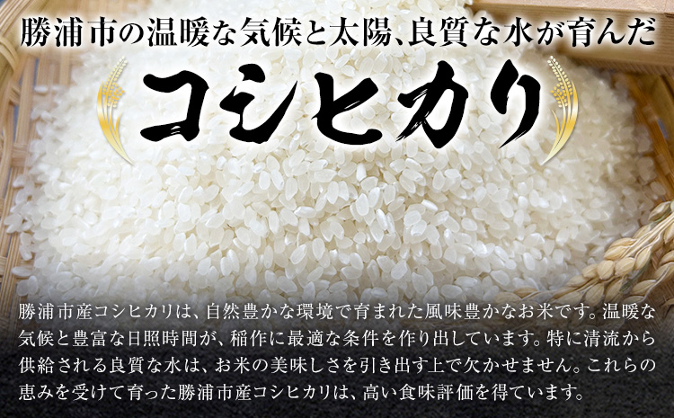 勝浦産 コシヒカリ (真空パック) 300g × 12個 と 勝浦タンタンメン 生3人前 × 2セット 御門商店 (有限会社 岩瀬竹次郎商店) 【配送不可地域あり】 《90日以内に出荷予定(土日祝除く