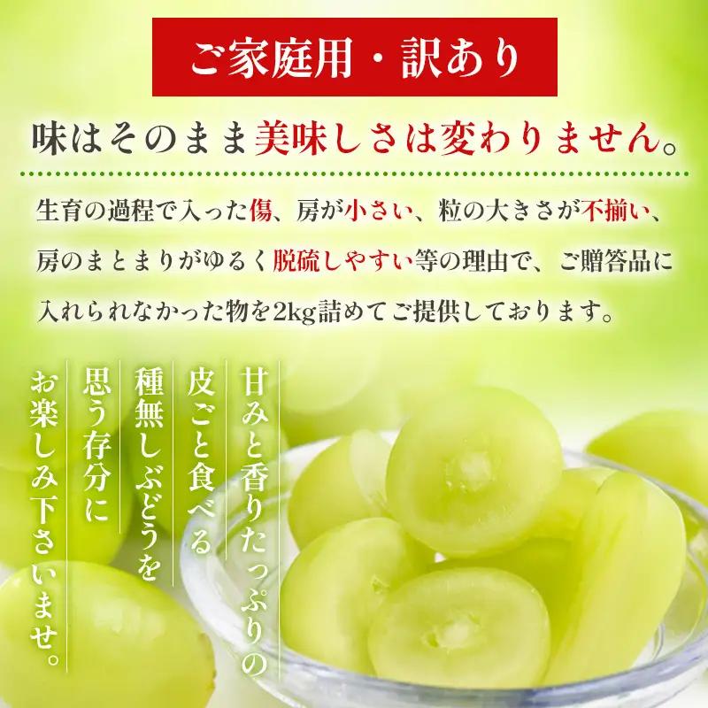 【ご家庭用】シャインマスカット 2kg入り 1箱 [前半]【令和8年産先行予約】FU19-485 くだもの 果物 フルーツ 山形 山形県 山形市 2026年産