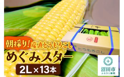 《8月上旬～下旬発送》朝採りとうもろこし めぐみスター 2Lサイズ13本【群馬県沼田市利根町産】