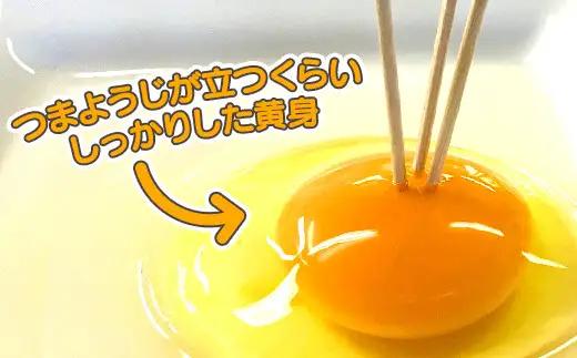 【３か月定期便】ひまわりたまご紅白セット 月１回（全３回）３か月セット ※破卵補償 卵 鶏卵 玉子 大容量 お試し おためし