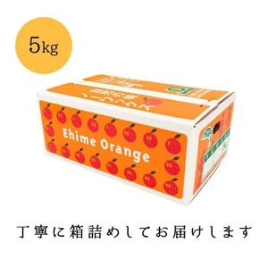 【創業85年 親子4代 愛媛みかん 一筋】愛媛八幡浜産 訳あり 極早生みかん 5kg【C20-46】【1594915】
