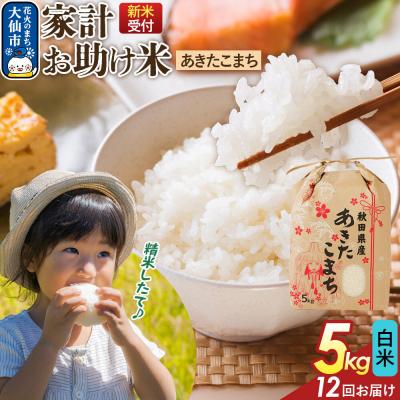 ふるさと納税 大仙市 定期便12ヶ月 白米 家計お助け米 あきたこまち 5kg  R8年|22_kml-060512s