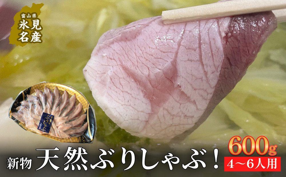 
【氷見鰤】新物天然ぶりしゃぶ！300ｇ×2パック　2～3人用　満足サイズ | 鰤 ブリしゃぶ しゃぶしゃぶ 国産 天然 ブリ 富山 氷見 お取り寄せ 特産品 冷凍 肴 氷見漁港 富山湾 天然鰤 鍋 簡単調理
