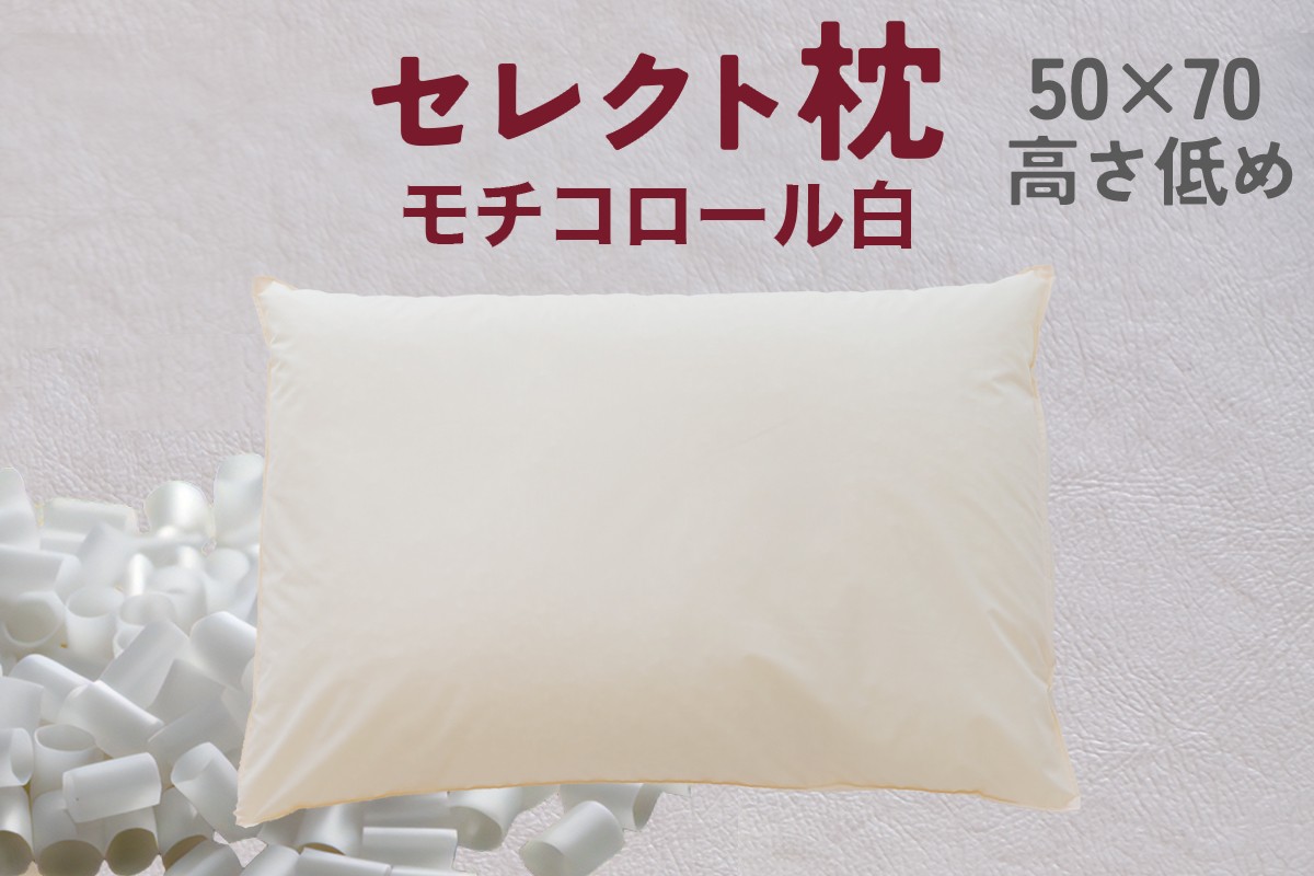 
            セレクト枕 モチコロール白 標準タイプ 中央くぼみタイプ 高さ低め（50×70cm）
          
