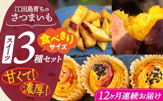 【全12回定期便】ねっとり濃厚！てくてくのさつまいもスイーツ お試し3種セット｜スイートポテト 大学芋 焼き芋 さつまいも サツマイモ 紅はるか 安納芋 芋スイーツ 和菓子 お菓子 おやつ デザート 和スイーツ お取り寄せ ギフト 贈答 贈り物 プレゼント おすすめ 手土産 定番 贈答用 江田島 広島県産 リピート 好評 広島県産 江田島市/峰商事 合同会社 [XAD078]