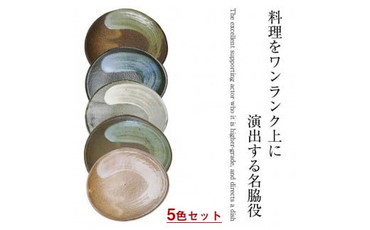 信楽焼 彩り取り皿5色セット