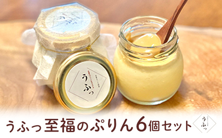 ぷりん至福のぷりんうふっこだわり卵ぷりん【6個】