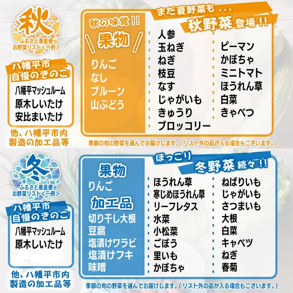 【新】八幡平のふるさと産直箱（大）【隔月／計3回】 ／ あすぴーて おまかせ 野菜 新鮮 野菜詰合せ 季節の野菜 旬の野菜 産地直送