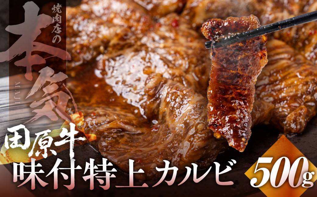 
                  焼肉の名店特選 味付け 牛カルビ 500g 小分け 100g × 5パック 牛肉 肉 カルビ 上カルビ 焼肉 小分け 味付け肉 味付肉 焼くだけ 簡単 焼肉 田原牛 ブランド牛 国産 人気 田原市 冷凍 高級 タレ 焼肉のたれ
                