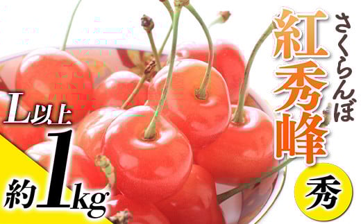 【令和7年産先行予約】 さくらんぼ 「紅秀峰」 約1kg (秀 L以上) バラ詰め 《令和7年6月下旬～発送》 『生産者おまかせ』 サクランボ 果物 フルーツ 産地直送 生産農家直送 山形県 南陽市 [887]