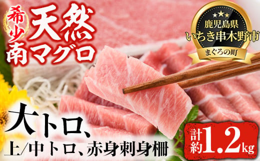 南マグロ極上セット！大とろ・上とろ・中とろ・赤身の鮪刺身用柵(計約1.2kg) まぐろ 鮪 南まぐろ 南マグロ 大とろ 中とろ 上とろ 魚介 刺し身 刺身 刺身用 さしみ サク 海鮮丼 小分け 便利 冷凍 希少 新鮮 【新洋水産】【01-019-04】
