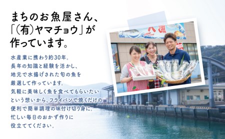 【漁師の手作り】小分けで便利！味付け切身の詰め合わせ 10P（5種×2P）10パック 食べ比べセット 鹿児島県産 魚介 おまかせ(ぶり しいら 鯛 あじ かつお イサキ等)照焼き 西京漬け バジルソー