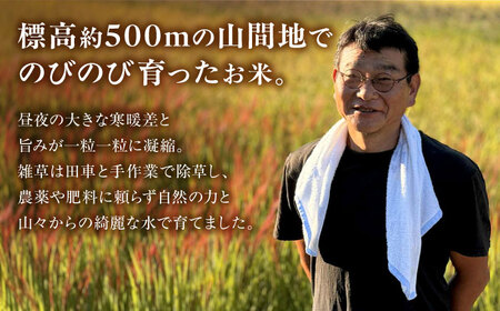 お米 令和7年産 米 10kg 黒川つばくろ農園[AWCB002]