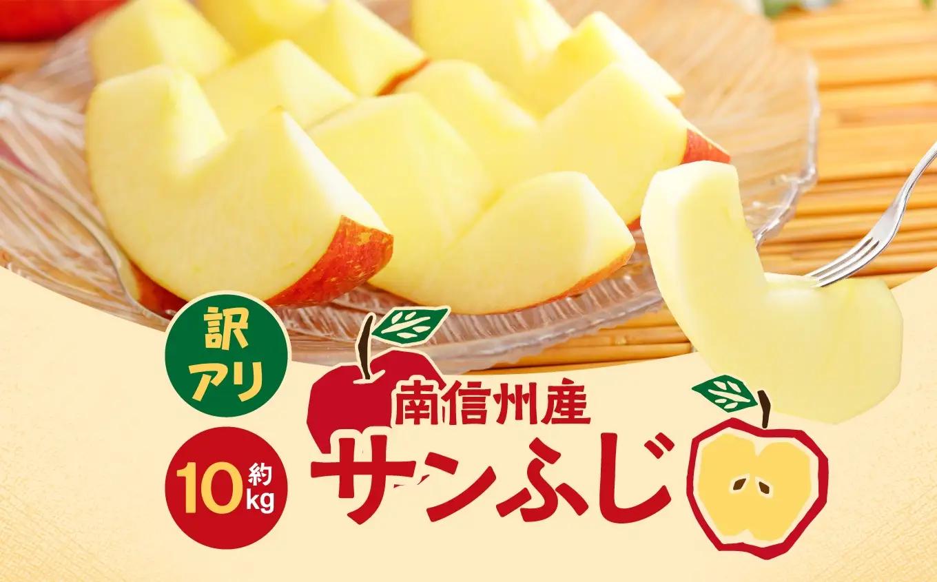 訳あり品 長野県産 サンふじ 約10kg ＜2027年1月上旬～2月上旬発送＞ | 長野県 飯田市