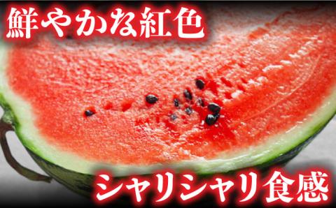 【2026年5月下旬〜発送】【大玉】 スイカ 羅皇 (ラオウ) 1玉 / 果物 フルーツ らおう / 南島原市 / ふるさと企画 [SBA013]