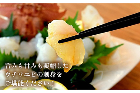 ウチワエビ 刺身 170g(ポン酢付)【ひばり】[KAA061]/ 長崎 平戸 魚介類 海老 エビ ウチワエビ 季節限定 ご当地 グルメ 刺身 しゃぶしゃぶ