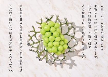 甲州市産 大粒シャインマスカット 自然農法 2房入り 約1.3kg 2~5名様向け(BNC)【2024年発送】D5-110