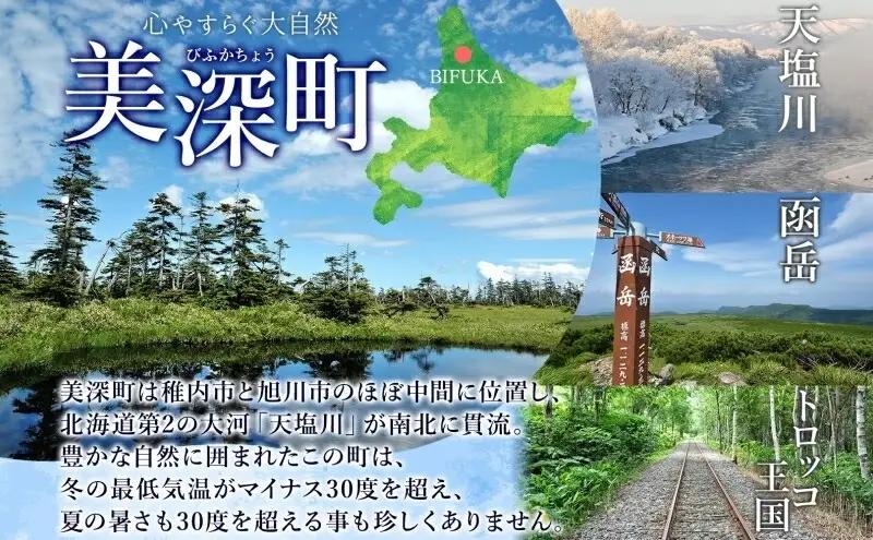  北海道 美深銘菓 ピウカ・ボッチャ 12本 スティックケーキ タルトスティックケーキ タルトケーキ スイーツ カボチャ かぼちゃ 南瓜 タルト カボチャの種 ブルーベリージャム 食感 ギフト 贈り物