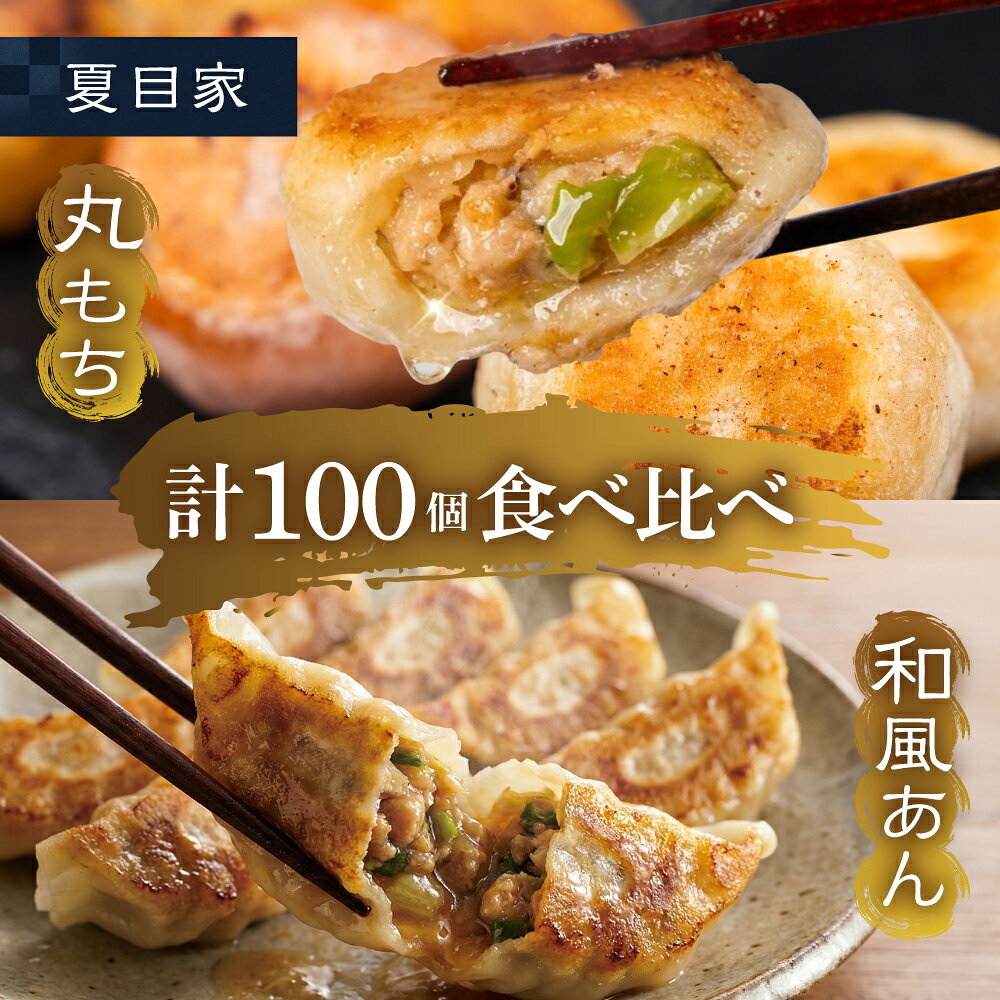 【ふるさと納税】夏目家 餃子 2種食べ比べ 100個 和風あん餃子 50個 丸もち餃子 50個 中華 惣菜 簡単調理 お楽しみ 豊橋市 送料無料
