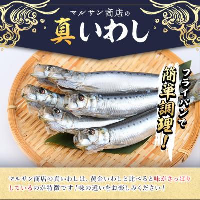 ふるさと納税 佐伯市 <訳あり>佐伯市産真いわしと黄金いわし 食べ比べ (2種・60尾以上) |  | 03