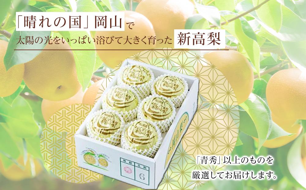 梨 2024年 先行予約 新高梨 青秀以上 4～6玉 約4kg  なし ナシ 岡山県産 国産 フルーツ 果物 ギフト [No.5220-0595]