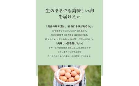 たいまのけはやたまご　30個入　3ヶ月定期便　／　定期便　たまご　生卵　奈良県　葛城市【tegg-tkb004】