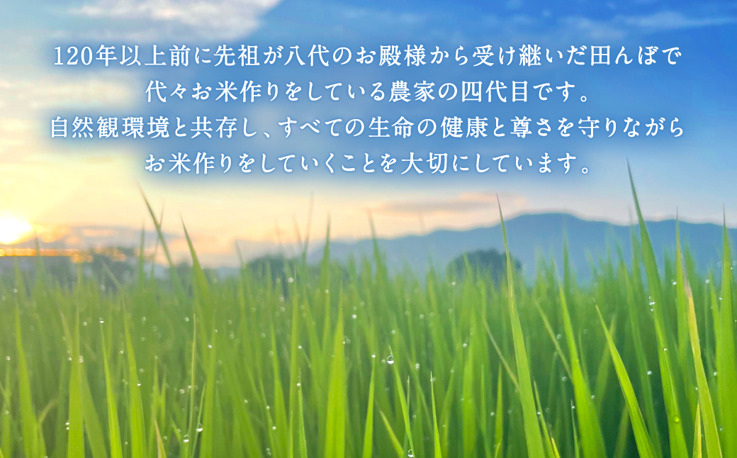 【先行予約】 《令和7年産》 自然栽培米 くらら 精米 5kg （八代産ヒノヒカリ） 【2025年10月下旬より順次発送】