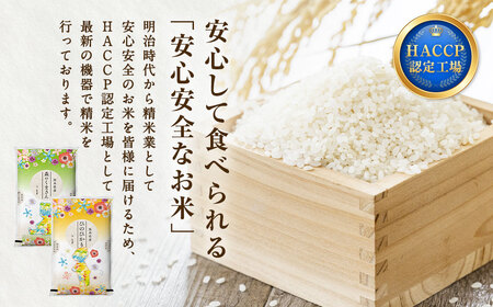 【令和5年産 ヒノヒカリ 7kg × 森のくまさん 7kg】計14kg 新鮮 精米 熊本県産