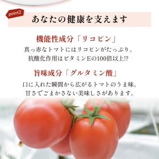 【限定出荷】"たまとま"＋カラーミニトマト(約4kg)《 野菜 トマト ミニトマト カラートマト 期間限定 送料無料 おすすめ 美味しい セット とまと ふるさと納税 》【2401C12101】