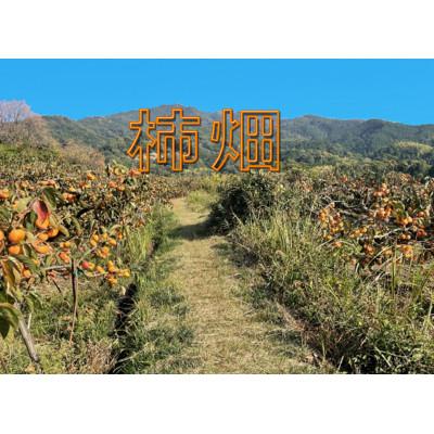 ふるさと納税 かつらぎ町 和歌山県産たねなし柿 約7.5kg LまたはMサイズ・36個または40個入り |  | 01