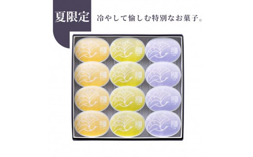 夏限定 本蕨 12個入 こしあん／小倉／抹茶 3種類＜京菓匠 鶴屋吉信＞《本わらび わらび餅 わらびもち 和菓子 お菓子 ギフト お中元 デザート》※2024年5月下旬〜8月中旬頃に順次発送予定
