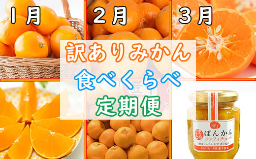 
野菜ソムリエ石児さんの訳ありミカン食べくらべ定期便１種４キロ(１月・２月・３月) みかん 柑橘類 定期便 訳あり 先行予約 温州みかん ポンカン アンコール 1月 2月 3月 フルーツ ＜103-805_5＞
