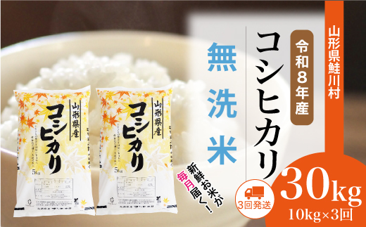 ＜令和8年産米＞ 令和9年7月中旬より発送  こしひかり【無洗米】30kg定期便 (10kg×3回） 山形県鮭川村