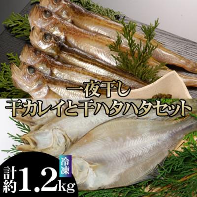 ふるさと納税 香美町 干カレイ・干ハタハタセット