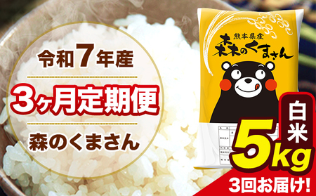 米 令和7年産 森のくまさん 白米 5kg 5kg×1袋 計3回お届け 《お申込み翌月から出荷》 お米 こめ 熊本県産 ご飯 備蓄