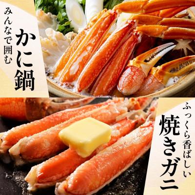 ふるさと納税 泉佐野市 無地熨斗 ボイルズワイガニビードロカット 400g前後×2パック 計800g 099H3445-1 |  | 03