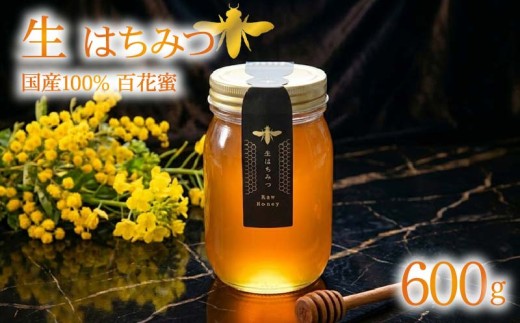 蜂蜜 ローハニー 600g 国産 非加熱 百花蜜 生はちみつ 純粋 ハニー 発酵食品 下田みつばち 静岡県 下田市 伊豆