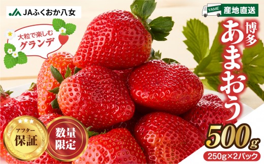 【先行受付：2027年2月発送開始】博多あまおうＧ250g×2パック｜JAふくおか八女 あまおう いちご 苺 イチゴ フルーツ 果物 くだもの 人気 旬 福岡県産 大粒 アフター補償 数量限定 期間限定 産地直送 グランデ 福岡県 八女市