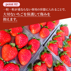 いちご詰合せ 古都華 奈乃華 あすかルビー 奈良県産 いちご詰合せ【約1080g 270g×4パック】【冷蔵】【先行予約】