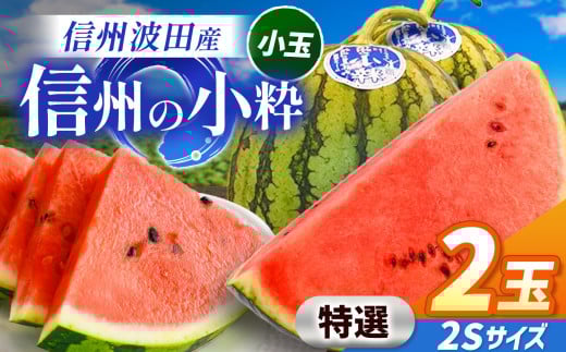 【先行受付：2026年7月発送】信州波田産 小玉スイカ！信州の小粋 【特選】 2玉 2Sサイズ｜ふるさと納税 長野県 信州 松本 果物 フルーツ すいか スイカ 西瓜 贈答 季節限定 甘い くだもの ふるーつ