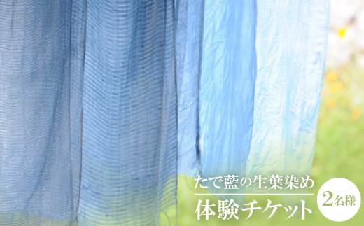 たで藍の生葉染め　体験チケット　二名様【1273174】