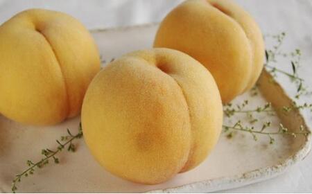 桃 2026年 先行予約 黄金桃 3玉 合計約900g （1玉約300g） もも モモ 岡山 国産 フルーツ 果物 ギフト 桃茂実苑