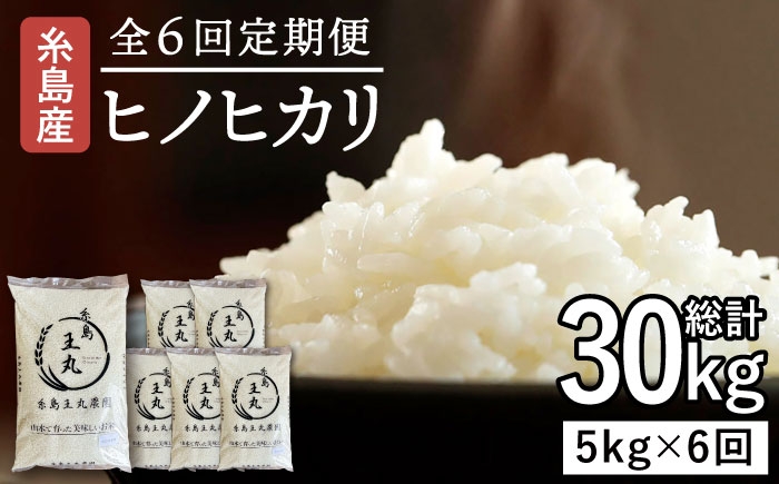 
                  【全6回定期便】糸島産 ヒノヒカリ 5kg×6回 　糸島市 / 糸島王丸農園 ( 谷口汰一 )【いとしまごころ】 [AAZ012]
                