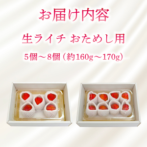 国産ライチ お試し160～170g【ライチ】