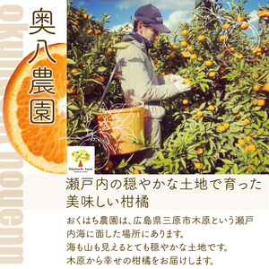 【おくはち農園】紅八朔（べにはっさく）ジュース（720ml × 4本）《2026年5月～発送予定》栽培期間中 防腐剤 ワックス 不使用 旬 柑橘 かんきつ フルーツ 果物 ジュース ドリンク 瀬戸内 