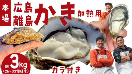 殻付き生牡蠣 冷蔵 約3kg ( 加熱用 ) 26〜33個程度 【1月中旬〜3月発送】 瀬戸内の離島から届く牡蠣  